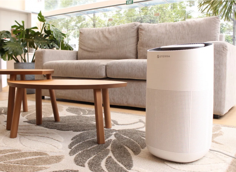 How To Get The Best Air Purifier? Merchandise Store Reviews